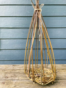 basket base with uprights tied together on top